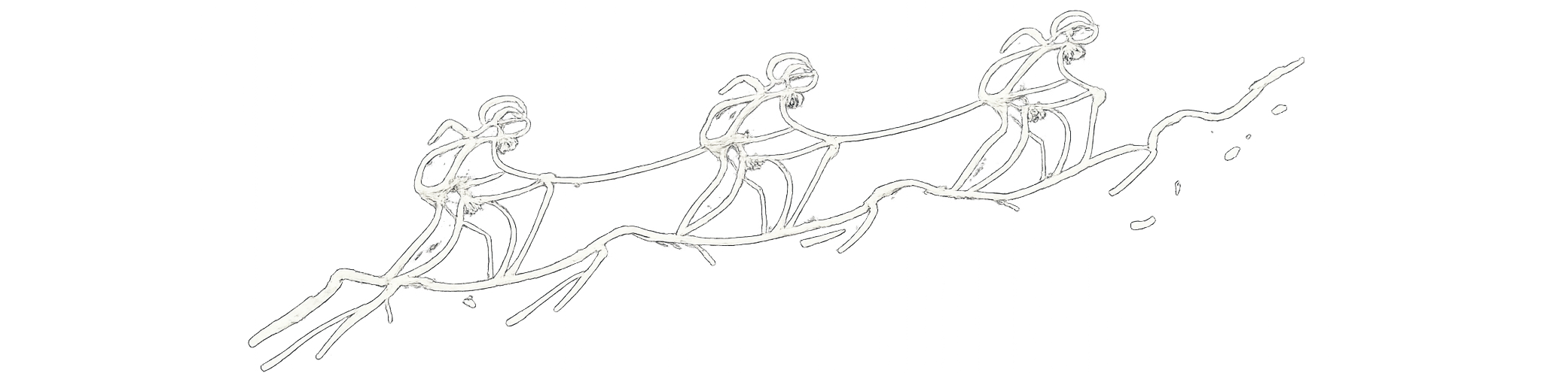 Illustration of a bird flying.